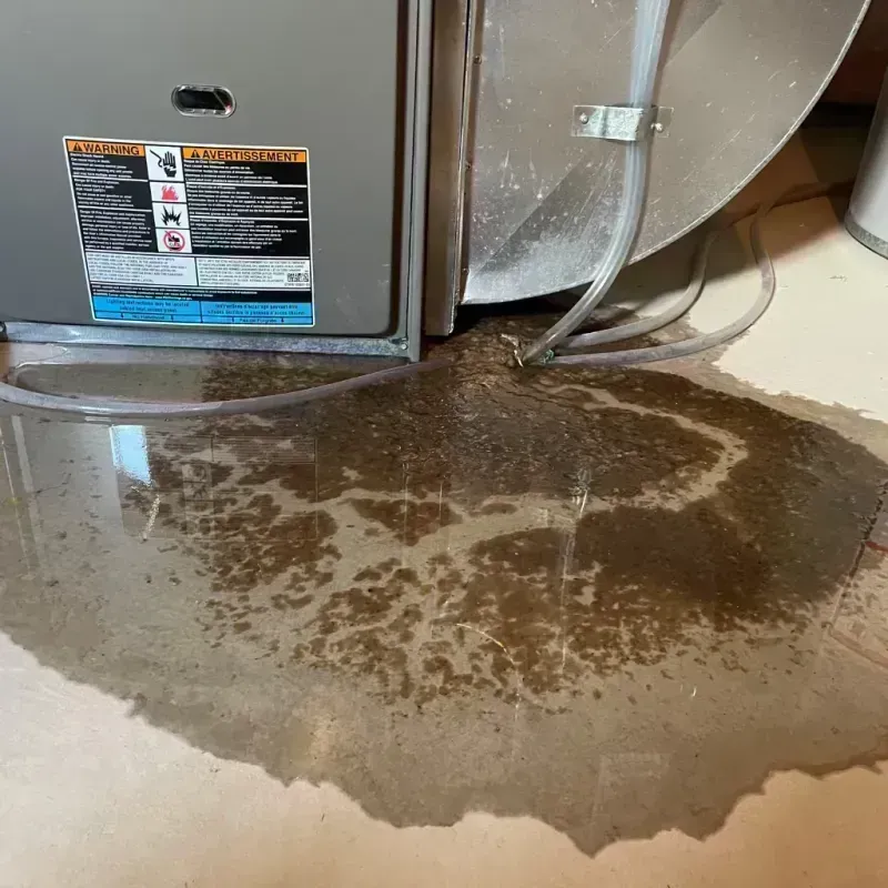 Appliance Leak Cleanup in Crookston, MN